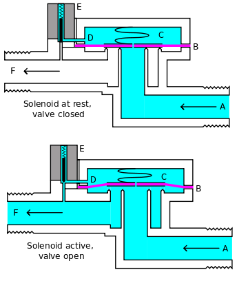 Picture6